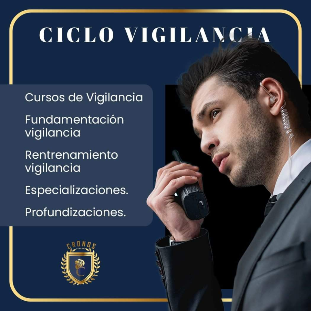 Curso-Vigilancia